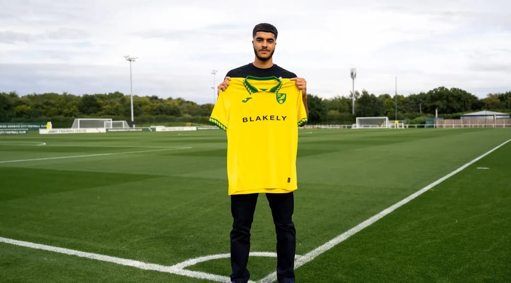 Botan ameen norwich 4325
