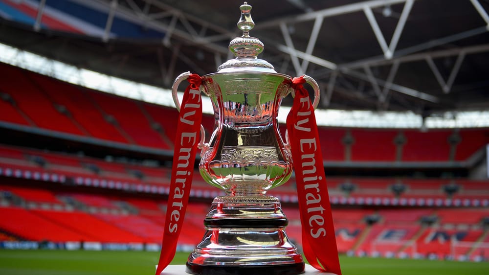 Emirates fa cup on stand on pitch