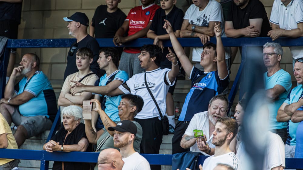 Wycombe Wanderers fans at Adams Park